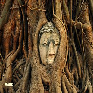 프라이빗하게 즐기는 아유타야 선셋 보트 투어