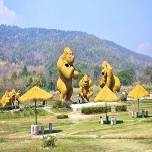 치앙마이 몬쨈 + 마이흐안60 카페 + 후웨이퉁타오 호수 반일 단독 투어