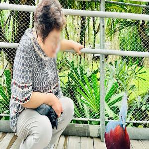 싱가포르 부모님 & 아이 동반 가족 반나절 맞춤 투어