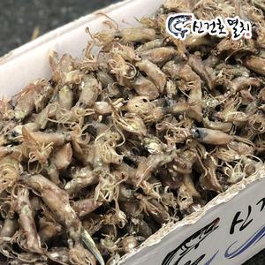 국산 햇 볶음/안주용 건 꼴뚜기 (상급) 1.5kg / 맥주안주 간식 반찬 호래기 꼬록 말린 마른 건조 꼴뚜기