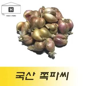 1kg 예천쪽파씨앗 쪽파종구 국산쪽파씨 쪽파종자 쪽파파종