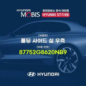 [현대모비스]몰딩 사이드 실 우측 (87752G8620NB9)