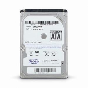 [Sebap]Brillante 5400/128M/노트북용/리퍼비시 (320GB, SM320RS)