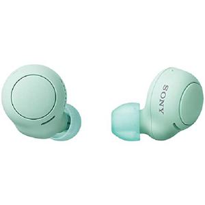 Sony 소니 무선 이어폰 WF-C500