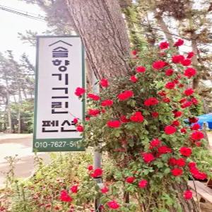 [충남] 솔향기그린펜션(충남, 태안)