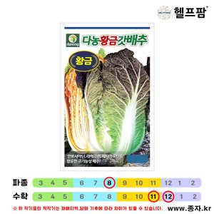 헬프팜 다농 황금갓배추 300립 배추씨 씨앗 종자 다농