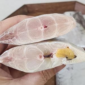 손질갈치 세네갈 오만갈치 구이 특대 토막 은갈치 500g