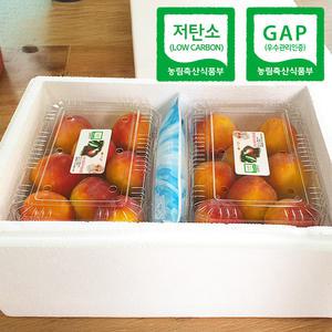 GAP 저탄소 산지발송 의성 자두 대석 후무사 도담 추희