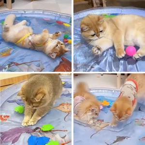 고양이 워터매트 65cm 물고기 오감자극 두꺼운 쿨링 여름용 워터방석