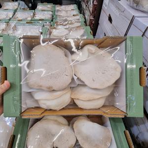 트레이더스 무농약 설원버섯 1kg