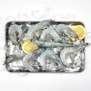 국내산 활 흰다리새우 900g 35미 내외