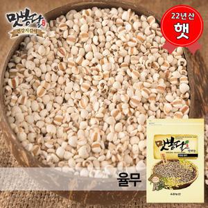 햇 24년산 국산율무 율무 율무쌀 국내산 3kg