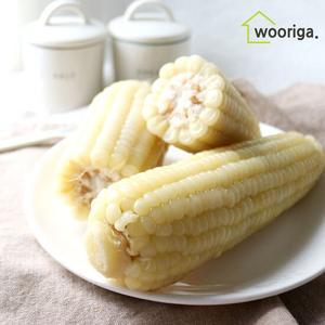 백찰 냉동 삶은 찰 옥수수 24개 (18∼20cm 내외) 옥수수