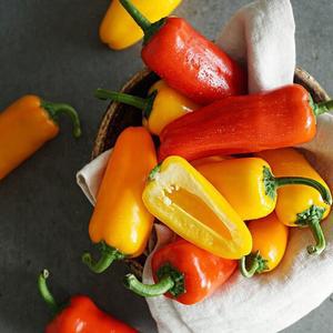 [당일수확] 미니파프리카 혼합 2kg (250g*8팩)