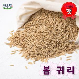25년산 봄귀리 귀리쌀 오트밀 통귀리 국내산 5kg