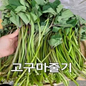 고구마대 전라도 고구마줄기 1kg 야채맘