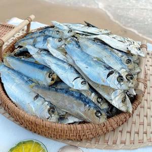 국산 디포리 1.5kg 상급 건디포리 밴댕이 국물용멸치