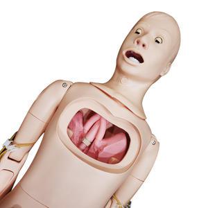 고급형 전신 간호실습마네킹 욕창모형 정맥주사 채혈 요양보호사교육