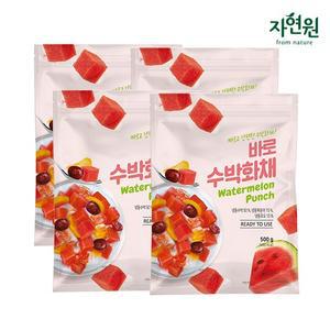 바로수박화채 500g x 4팩