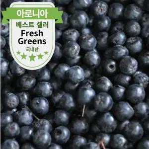 국산 냉동 아로니아 열매 생과 급냉 (줄기있음)