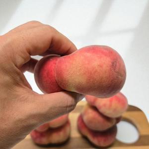 거반도 납작복숭아 대과 고당도 산지직송 제철 복숭아 1kg (6~8과)