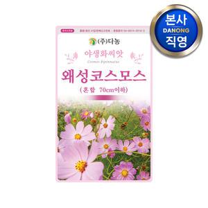 왜성 코스모스 (혼합) 씨앗 1kg (70cm이하) . 키작은 야생화 꽃씨 종자