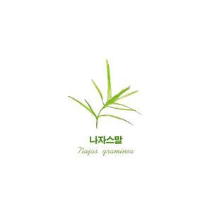 나자스말(10촉)구피 치어 새우 은신처 토종수초