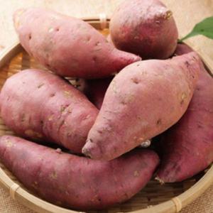해남 고구마 꿀고구마 베니하루카 5kg 소 중 대 중 선택