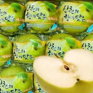 달가 안동사과 세척 아오리 (가정용) 3kg / 10-14과 (중과)