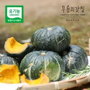 유기농 제주도 제철 진짜 미니단호박 밤호박 보우짱 1.5kg 3kg, 5kg, 10kg