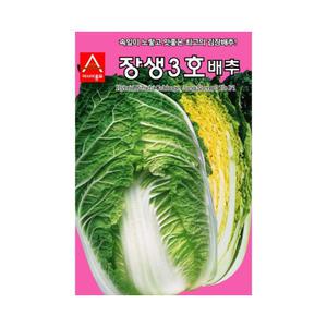 장생3호 1000립 가을 김장 배추 씨앗 씨