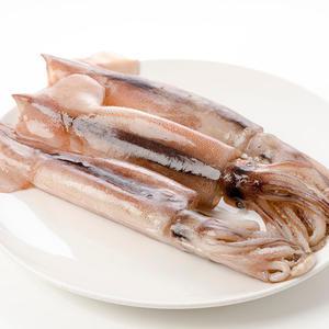 손질 통오징어 특대 1마리당 170-200g내외 10미