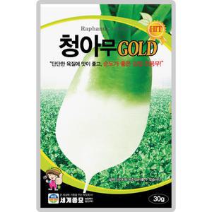 청아무골드 씨앗 30g 가을 저장용 김장무씨 종자 단단한 무 내병성무 무우씨