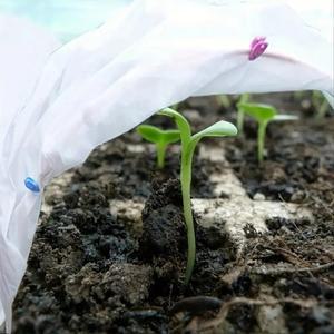 부직포 식물 보호커버 방충 방한 덮개 10m 1.6 x 방풍 농사용