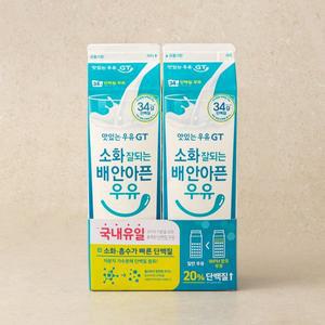 [남양] 소화가 잘되는 단백질우유 900ml*2