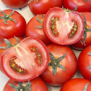 [지투지샵]완숙토마토 주스용 3kg 못난이