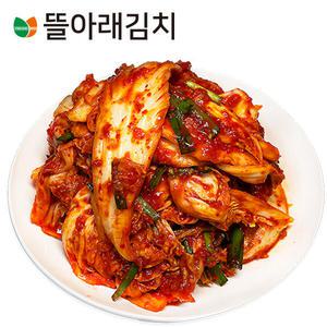뜰아래김치 배추 생 겉절이김치 3kg 여름기간한정 특가할인 진행중