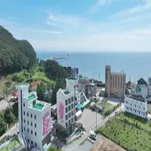 [충남] 핑크돌핀호텔&펜션(충남, 태안)