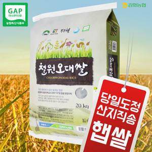(2024년산/RPC) 강원도 김화농협 철원오대쌀 20kg