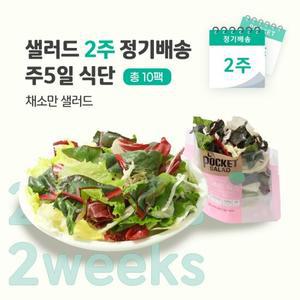 [포켓샐러드] 2주 정기배송 주5일 (채소만 샐러드 5종 5팩)
