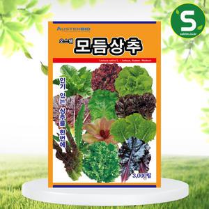 상추씨앗 제일모듬상추 3000립 6가지 이상 품종