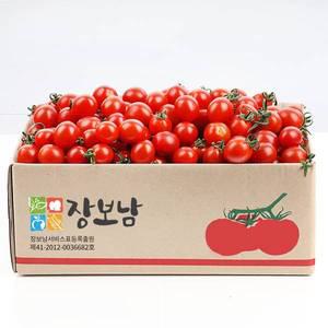 토마토 방울토마토 대추방울토마토 2kg(소과/4번)