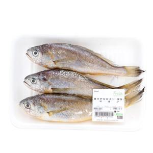 [해동][국산] 물가안정 참조기 (대, 마리)