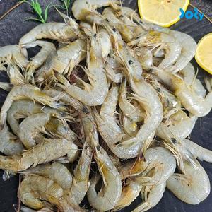 [맛도리] 국내산 급냉 중하새우 2kg (160-200미 내외)
