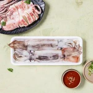 [생물][국산] 생오징어 (마리)
