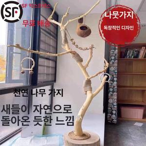 해이프 앵무새횟대 폴대타워 자바트리 앵무새 조류 그네