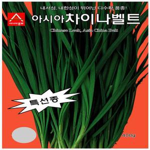 아시아 차이나벨트 부추 씨앗 20g