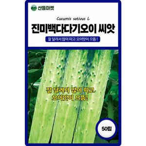 산들마켓 진미백다다기 오이 씨앗 50립 잘 달리고 맛이 으뜸인 국내산 고급 품종