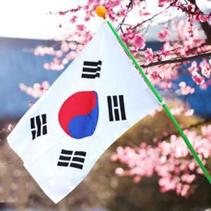 아파트베란다 태극기 국기봉세트 게양용 계양용