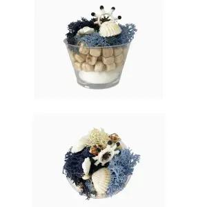 여름 투명컵 편백나무칩 조개 모스 장식 방향제 만들기 5p diy키트 집콕놀이 DIY